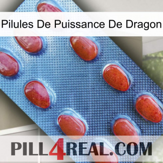 Dragon Power Pills 06